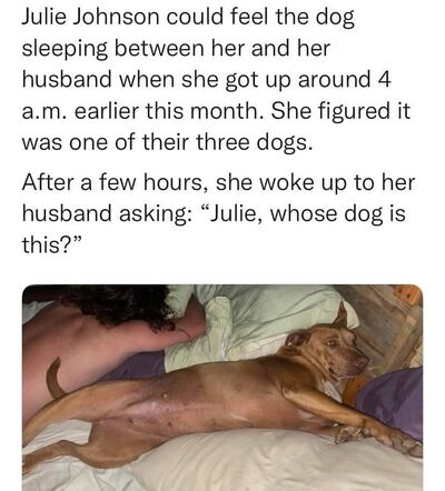 Article