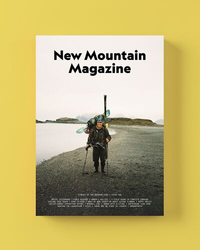 Article