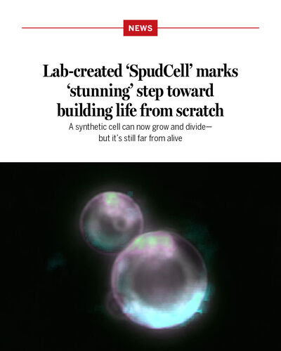 Article